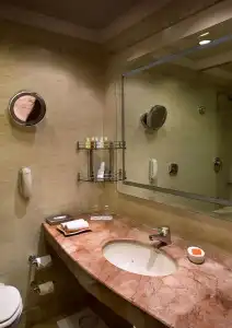 The Suryaa New Delhi - 8