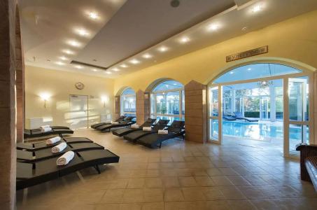 Das Palmenwald Schwarzwald, BW Signature Collection - 38