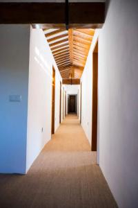 Urban Hostel Palma - Albergue Juvenil - Youth Hostel - 41
