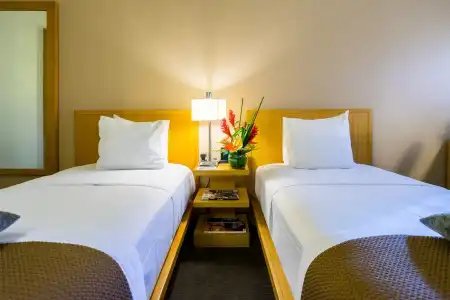 Vive Waikiki - 5