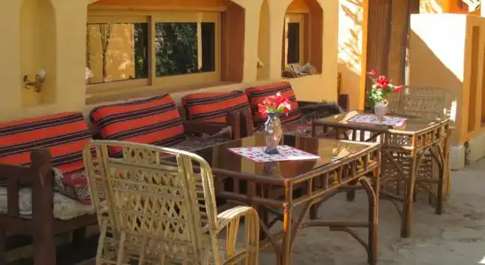 Nile Compound - 21