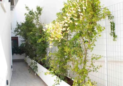 Palm Residences - 79