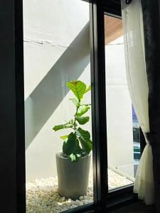 Little One Hostel - 6