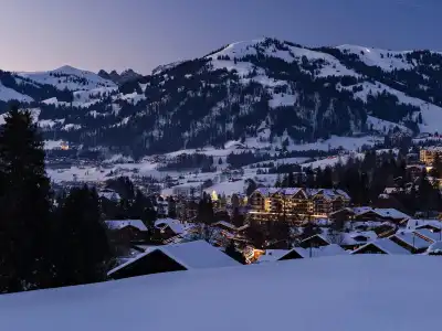 Park Gstaad - 19