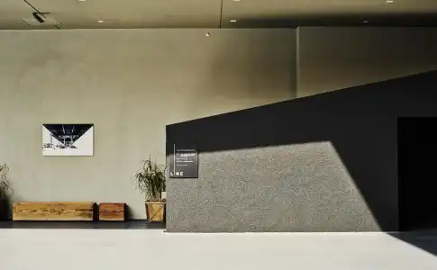 The LINE - 1