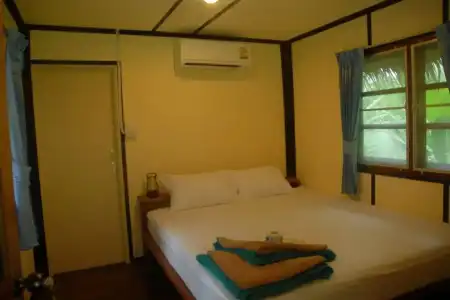 Jungle Garden - 3