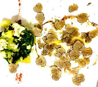 Villa Scacciapensieri Boutique - 10