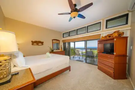 Kapalua Villas Maui - 364