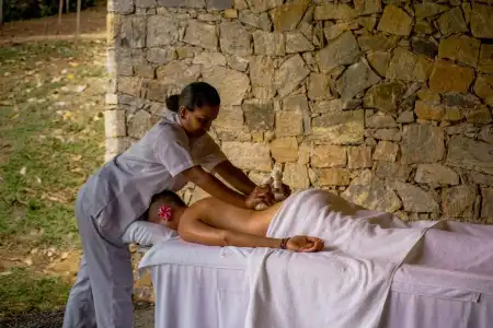 Santani Wellness Kandy - 19