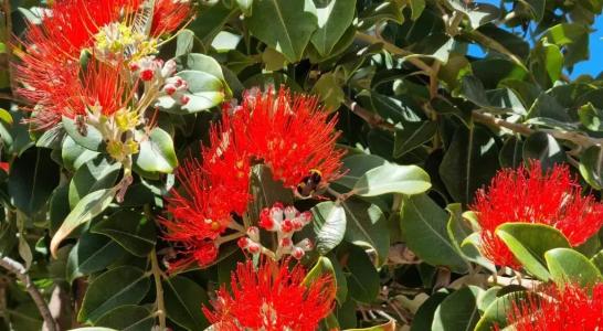 Astrofegia Beachfront Villa - 58