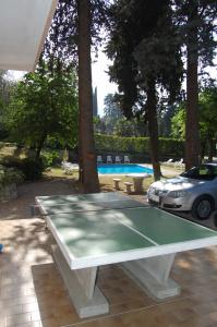 Stella Alpina - 12