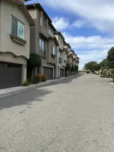 Olive Glen - 0