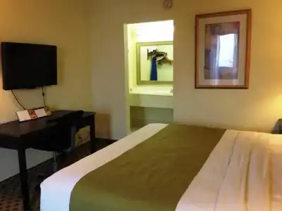 SureStay by Best Western Irving Grapevine DFW North - 15