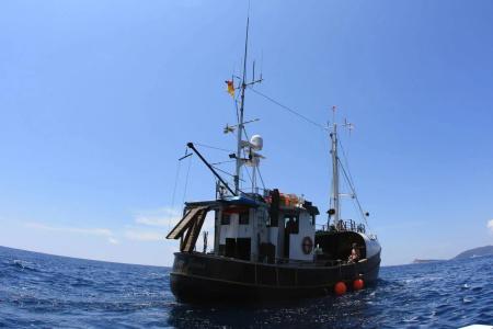 MS Cutty Jean - 5