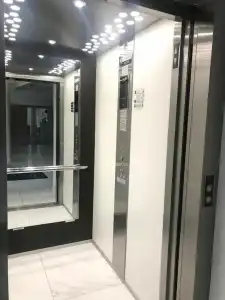 Falcon - 6