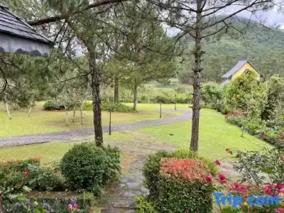 Binh An Village Dalat Resort - 142