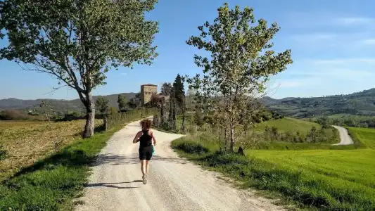 Il Querceto - B&B e Appartamenti Vacanze - 25