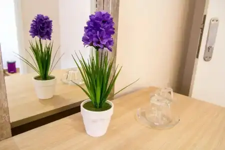 Hostal Barcelona Travel - 39