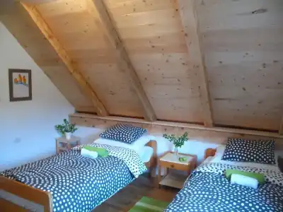 Guesthouse Bor - 28