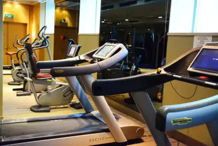 Four Points by Sheraton Shanghai, Pudong - 10
