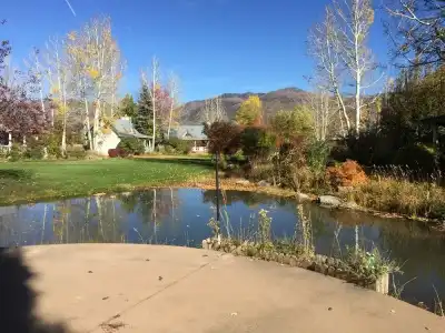 Apple Orchard Inn - 51