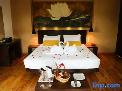 Terrace Green & Spa - 109