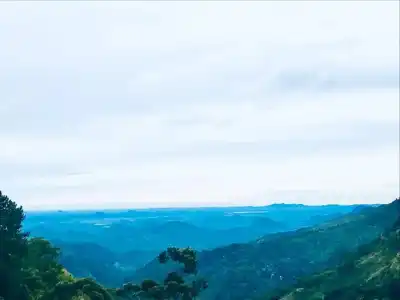 Ella View - 14