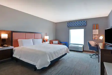 Hampton Inn & Suites Clearwater/St. Petersburg-Ulmerton Road, FL - 3