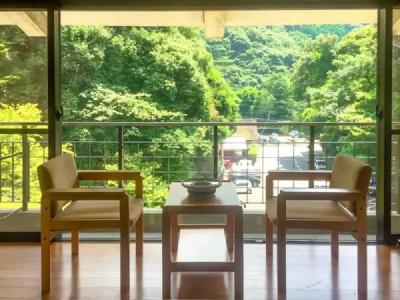 LiVEMAX RESORT OKUDOGO - 50
