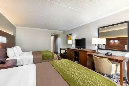 Comfort Inn Anaheim Resort - 3