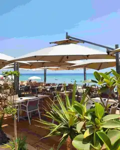 Golden Tulip President Hammamet - 19