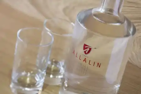 Swiss Alpine Allalin - 45