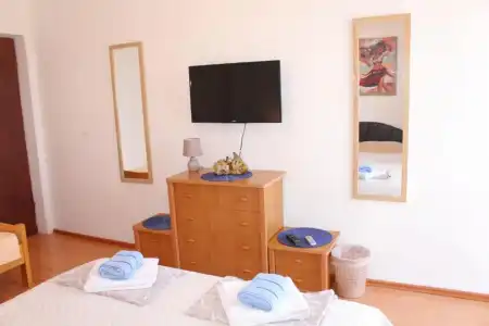Guest House Tomanovic - 31