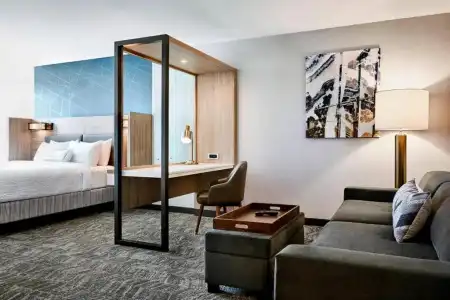 SpringHill Suites by Marriott - 3