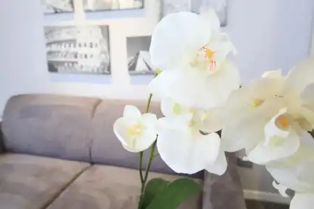 Villa Pirandello - 68
