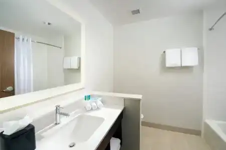 Holiday Inn Express & Suites New Braunfels by IHG - 52