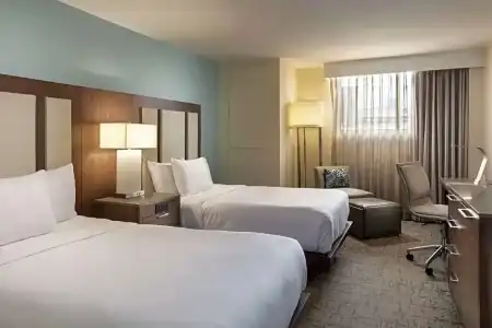 Hilton Clearwater Beach Resort & Spa - 79