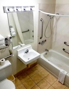 Alex and Suites - 27