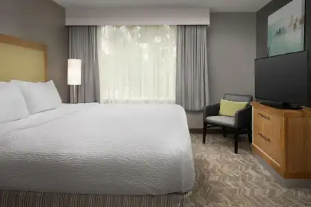SpringHill Suites by Marriott Boise ParkCenter - 3
