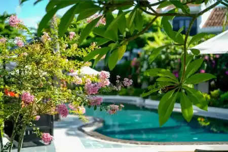 Hoi An Coco River Resort & Spa - 182