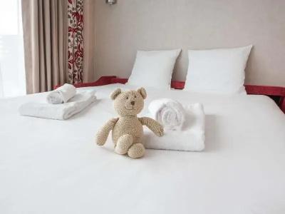 Mercure Clermont Ferrand Centre Jaude - 109
