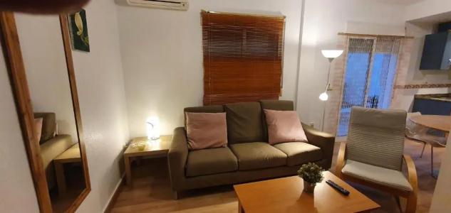 Apartamentos Plaza - 64