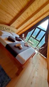 Elva Bungalov - 40