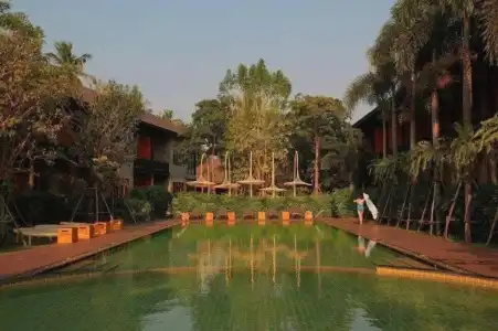 The Buffalo Amphawa - 43
