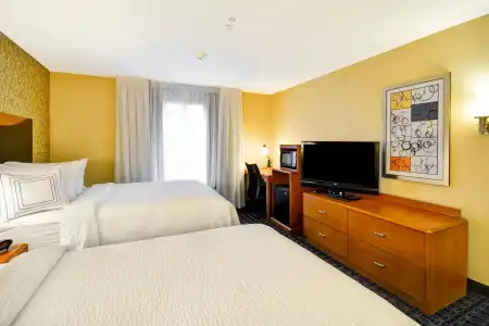 Fairfield Inn & Suites by Marriott Tampa Fairgrounds/Casino - 3