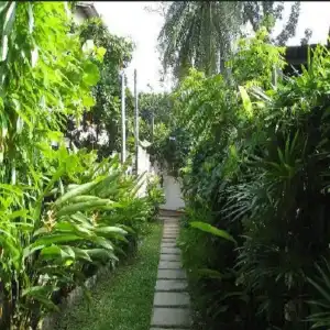 Sea Breeze Guest house - 32