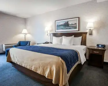 Comfort Inn Bellingham - 50