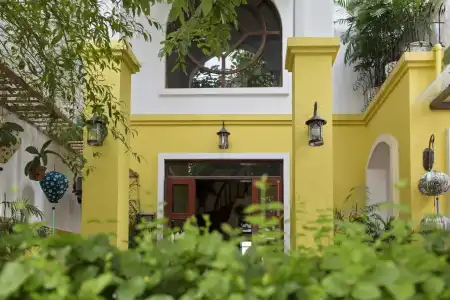 Thien Nga - 7