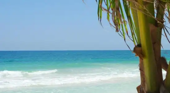 Dos Ceibas Tulum Feel Good - 18