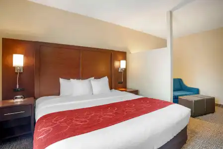 Comfort Suites Fredericksburg North - 110